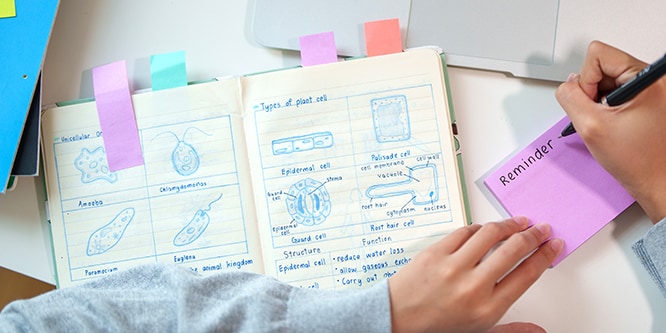 Ein Notizbuch mit Seiten, die mit Post-it® Page Marker versehen sind, während ein Schüler sich Notizen auf einem Post-it® Note macht.

